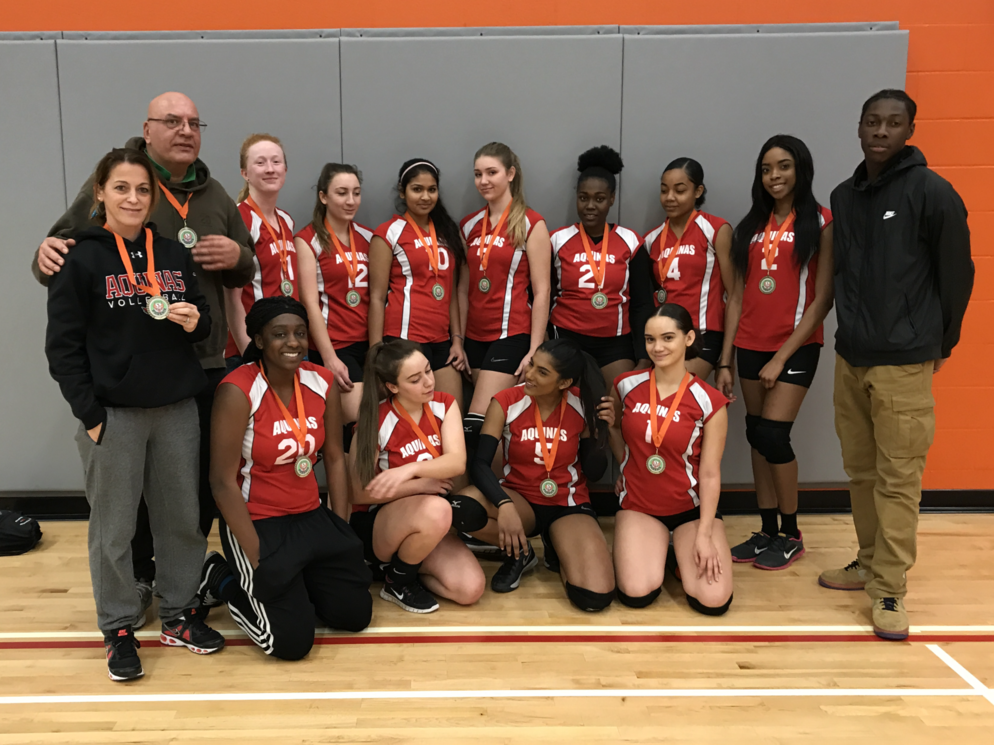 Picture of a Volleyball Team